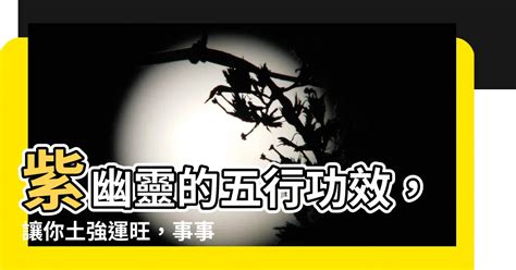 紫幽靈五行|紫幽靈功效指南：提升思考力、助眠、招財旺人緣 